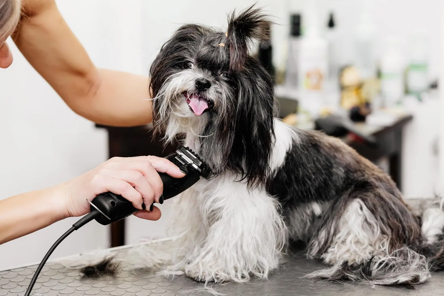 groomers