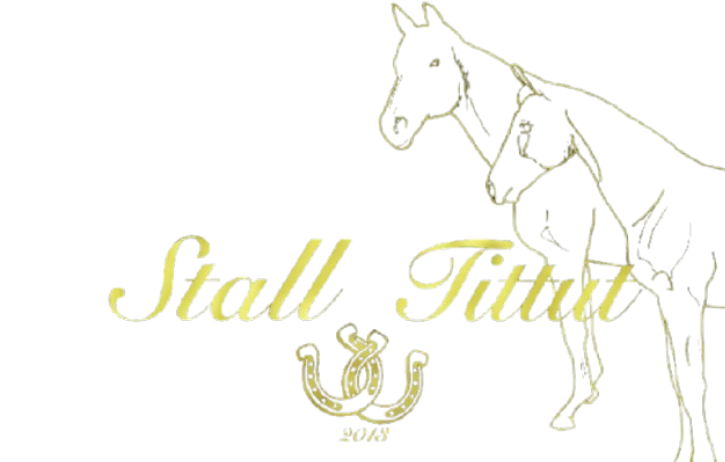 stall stittut